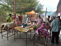 WhatsApp Image 2019-09-26 at 16.26.56