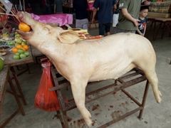 WhatsApp Image 2019-09-26 at 16.27.50